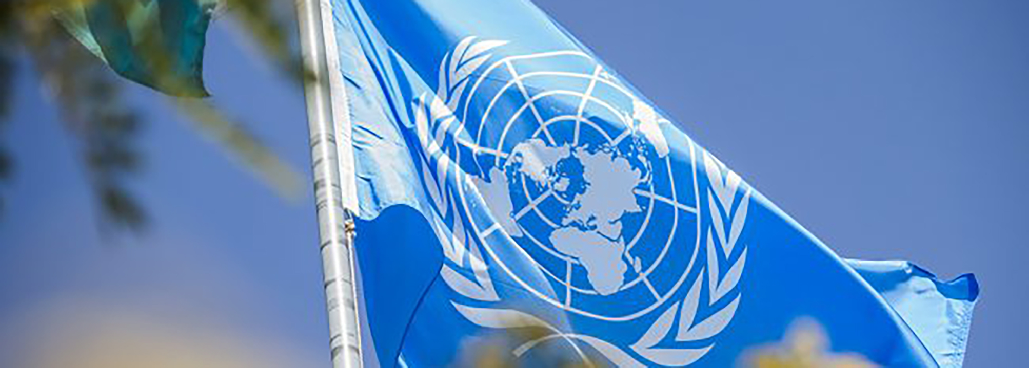 Bild på FN-flaggan