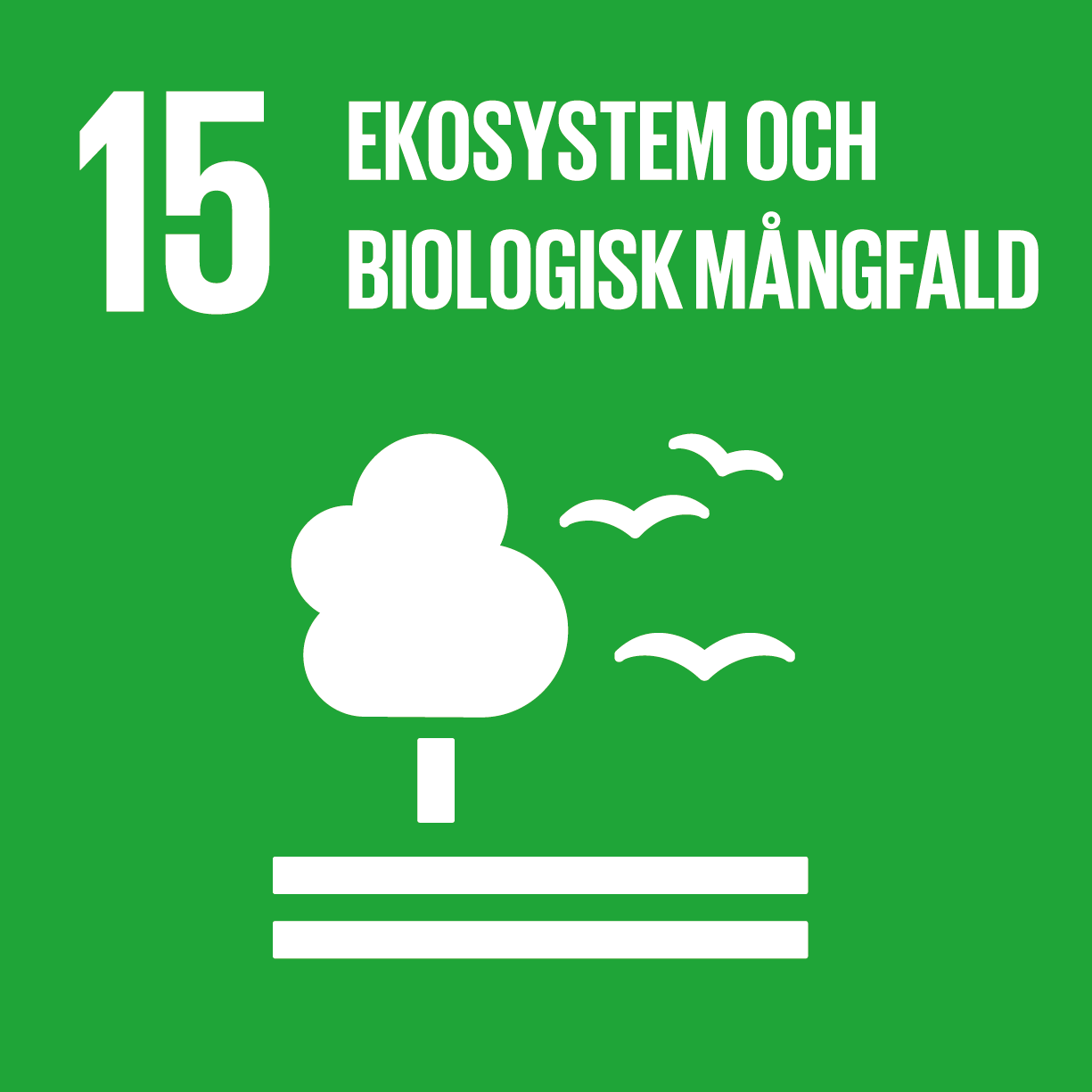 Mål 15 Ekosystem och biologisk mångfald