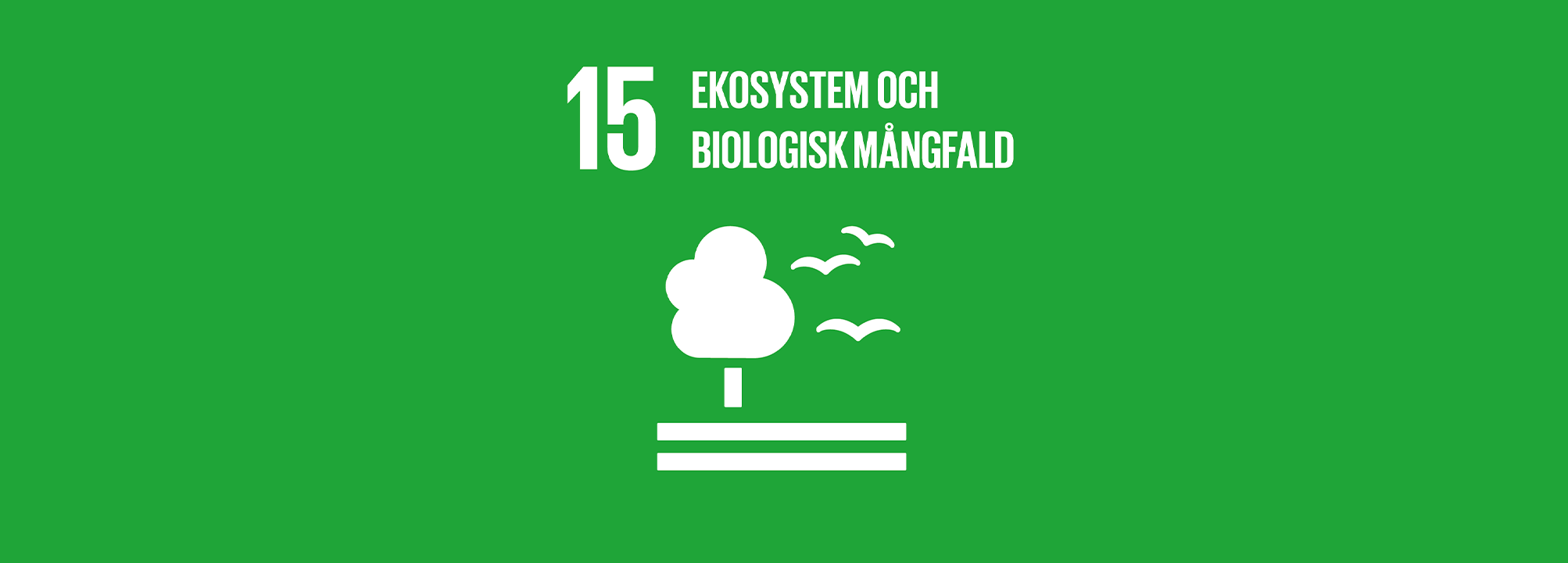 Ikon för mål 15 Ekosystem och biologisk mångfald