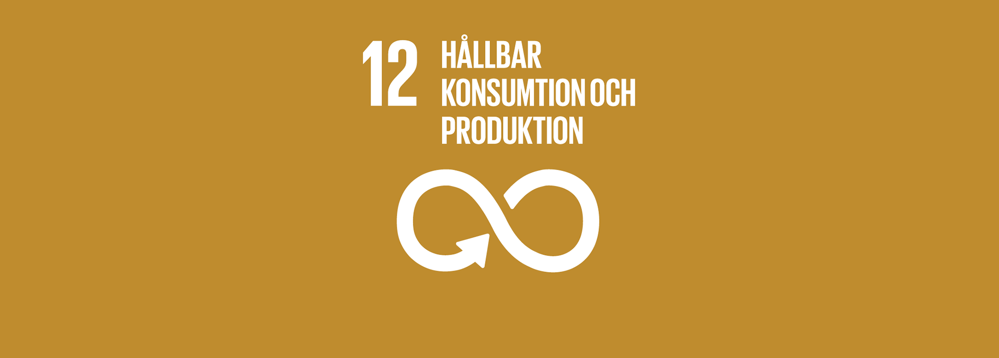 Ikon för mål 12 Hållbar konsumtion och produktion
