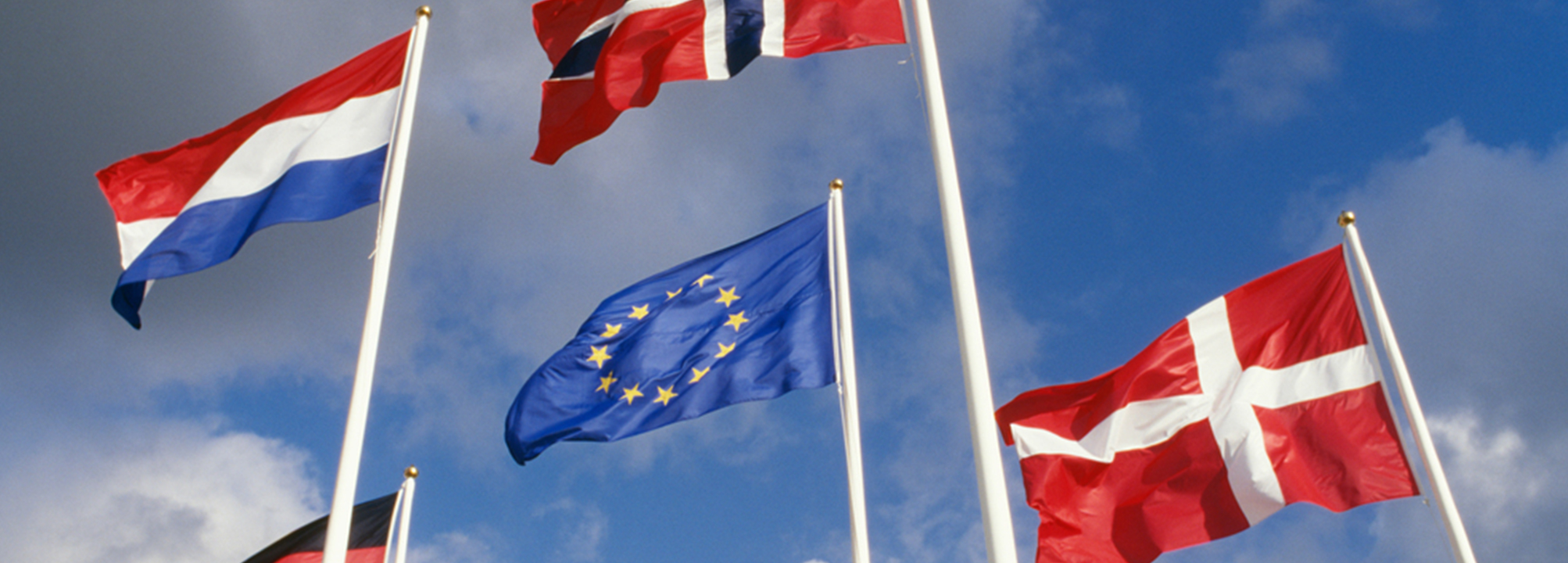Flaggor med EU-flaggan i mitten.